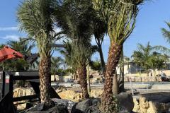 Tropical-Beach-Resort9